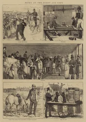 Notes au Derby et Oaks